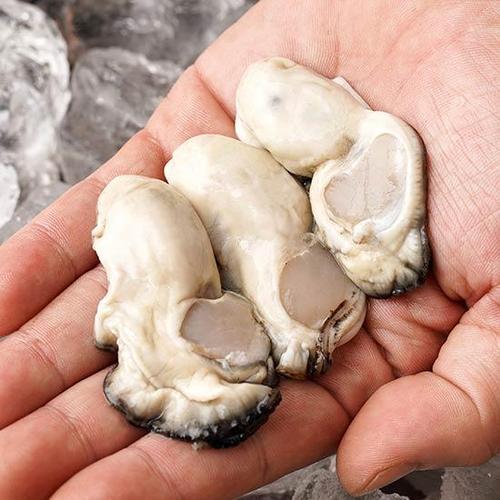 덕이네수산 [물맛남] 품질보장 통영 당일작업 햇 생굴 1kg 싱싱팩포장