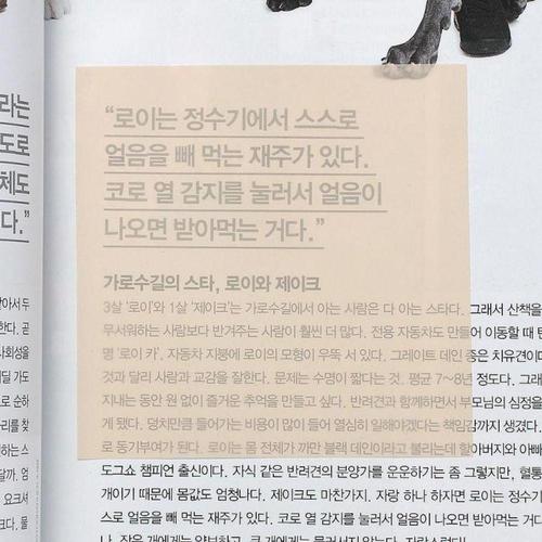 활용만점 반투명 메모용지 점착메모지(50매x10세트) (WFIT971)