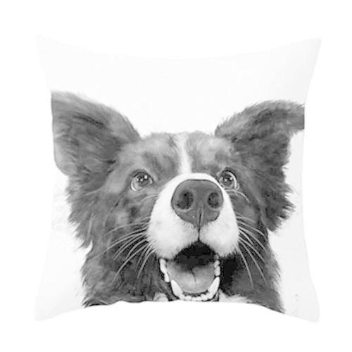 [셀럽하우스]뺴꼼강아지쿠션커버 IDYE1824 심플 빼꼼멍멍소파쿠션커퍼(C타입