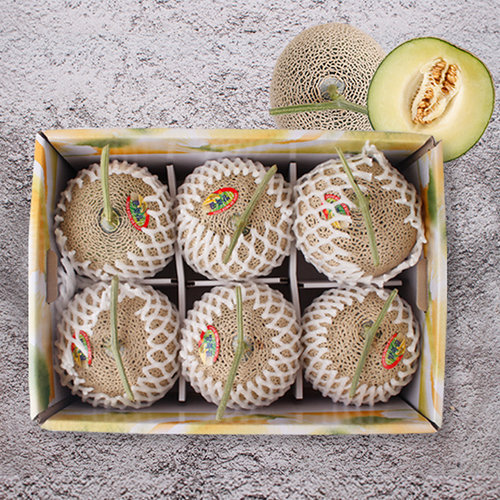 감동  멜론 선물세트 머스크 메론 7kg 6수 선물세트