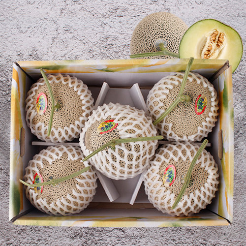 감동  멜론 선물세트 머스크 메론 7kg 5수 선물세트