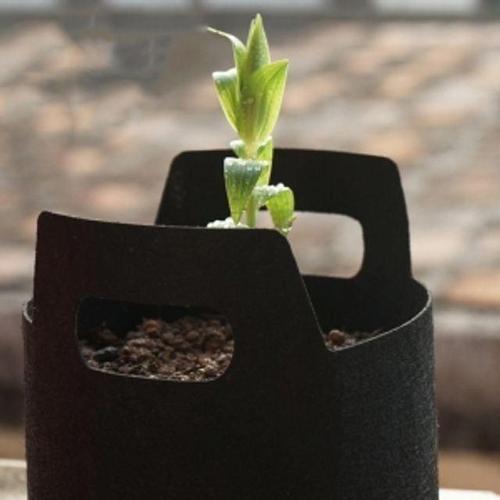 화분부직포커버 홈가든 부직포 화분 5p세트 18x15cm 가정용재배화분 WFOI96Z