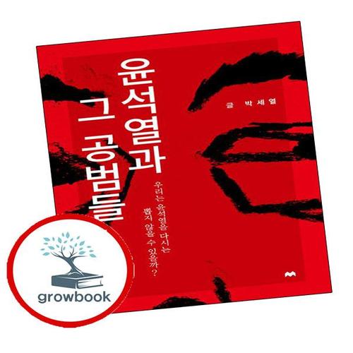 윤석열과 그 공범들 윤석열과그공범들 책