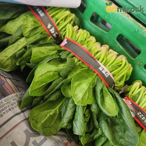 산지유통 온미락 포항 영해초 포항초 1단(300g내외) 해풍맞은 달달한 시금치