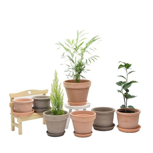 주식회사 금수저몰 토분 7종 셋트 받침포함 (WFGD74O)