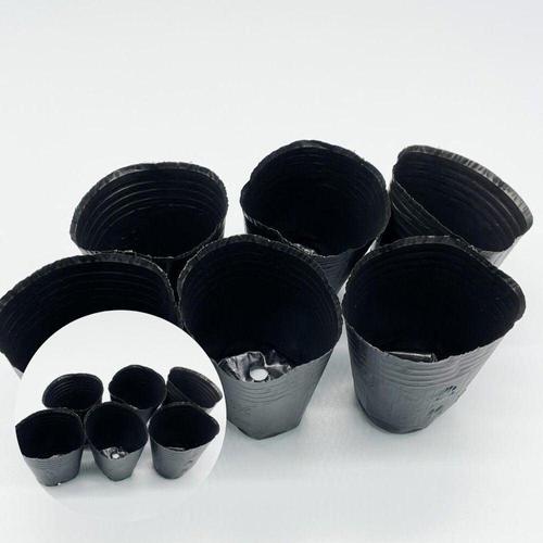 에이치플러스몰 다육이 모종 화분 8호 소형 고추 식물 다육식물 재배기 8x8 WFKUZ1X