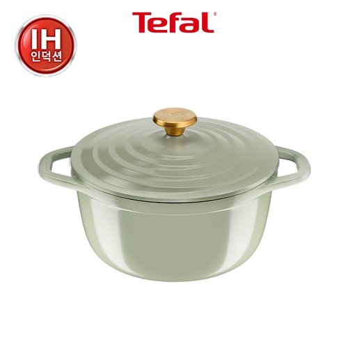[테팔] 인덕션 세라믹 에어 주물 양수냄비 24cm, 그린