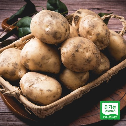 강원도 유기농 햇 수미감자 3kg