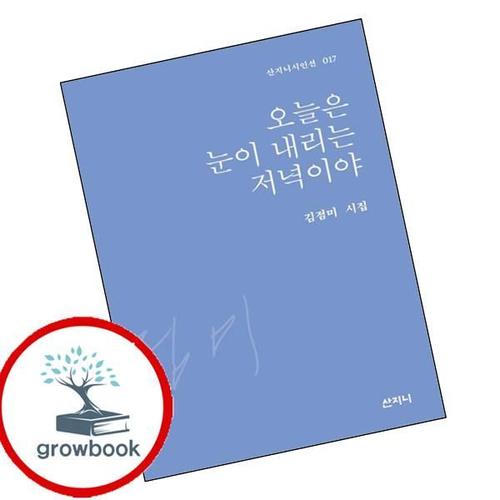 오늘은 눈이 내리는 저녁이야 오늘은눈이내리는저녁이야 책