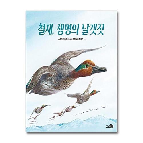 [제이북스]철새, 생명의 날갯짓 (바람 그림책 70) (양장)