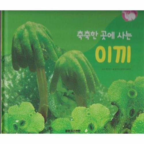 보리보리 [이노플리아]축축한 곳에 사는 이끼 - 식물과 식생활 - 플러스업 자연속으로 (양장)