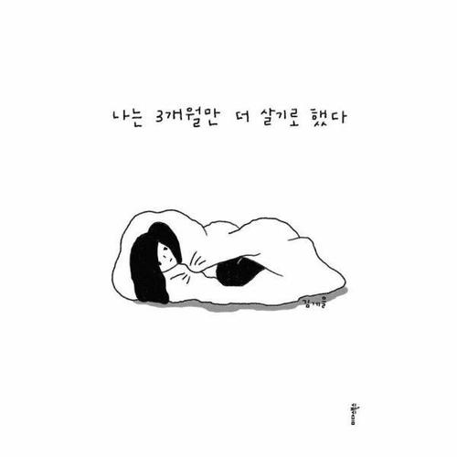 나는 3개월만 더 살기로 했다 - 90일간의 생존 일지