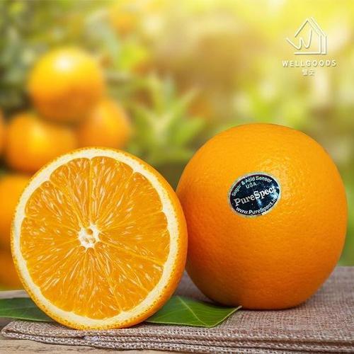 갤러리아_[웰굿] 퓨어스팩 블랙라벨 오렌지 17kg(72과내외,개당220g내외)