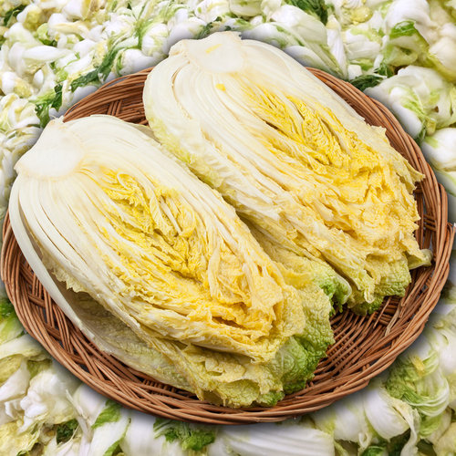 [지정일배송] [더조은] HACCP 해남 김장 절임배추 20kg (7-10포기)