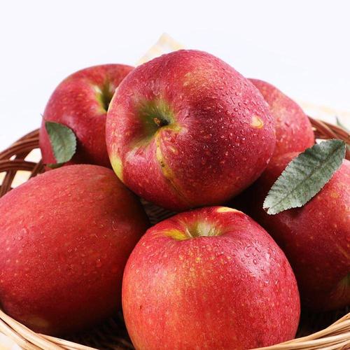 갤러리아_고당도 문경 햇 감홍사과 2.5kg 가정용(8-12과)