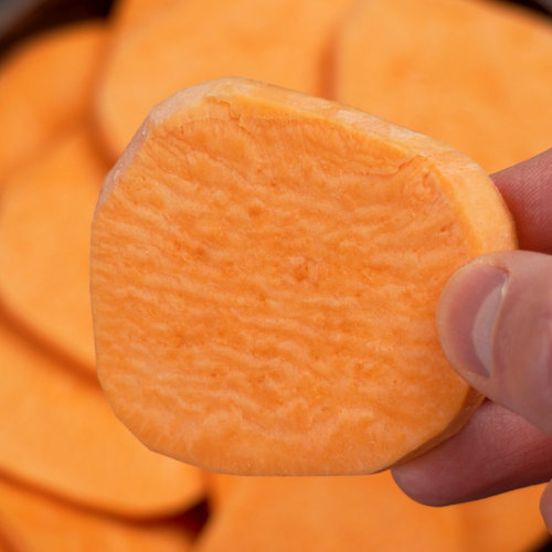 호박고구마 깎아먹는 파파얌 특대 3kg 해남 세척 해나미