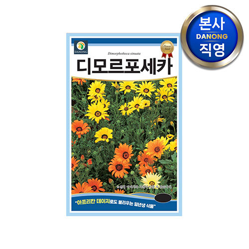 디모르포세카 씨앗 150립 . 아프리칸 데이지 야생화 혼합 일년생 꽃 꽃씨 종자.