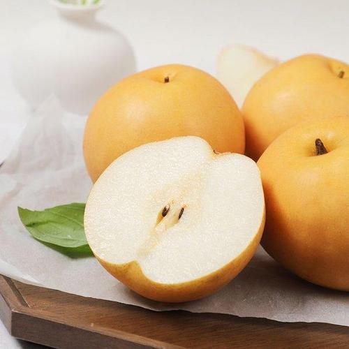 갤러리아_산지직송 가정용 배 5kg(9-13과 내외)