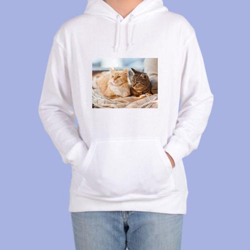 후드티 고양이 애완동물 샴고양이 고양이사진 (WD488D5)