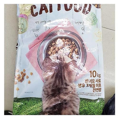 셀러허브 캣 푸드 반려묘 사료 (성묘용) 10kg x 1개 tx75972