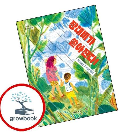 장대비가 쏟아진다 장대비가쏟아진다 책