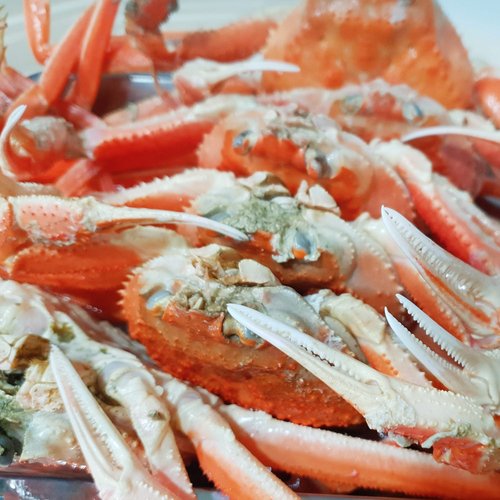 (주)세양아이엔티 국내산 영덕대게 (중) 3마리 활어 대게