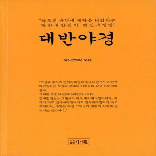 보리보리 [웅진북센]대반야경