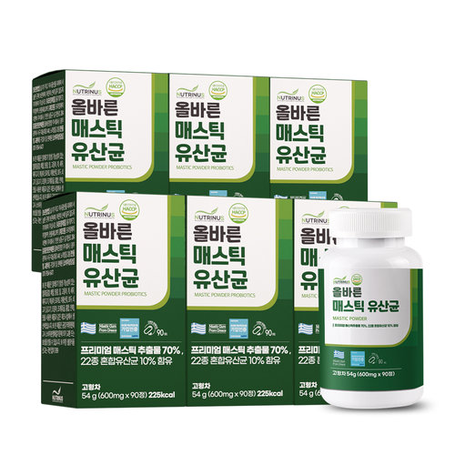 뉴트리너스 올바른 매스틱 유산균 (600mg x 90정) 6통