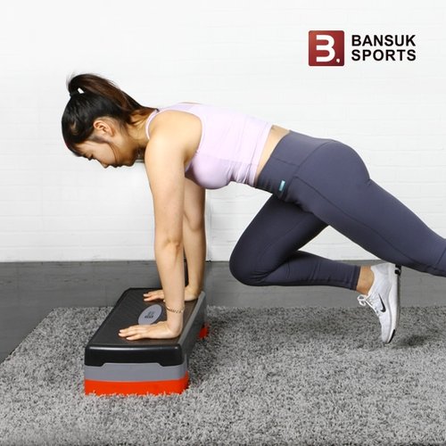 에어로빅 스텝박스 2단 높이조절 스텝퍼 유산소 운동 다이어트 헬스