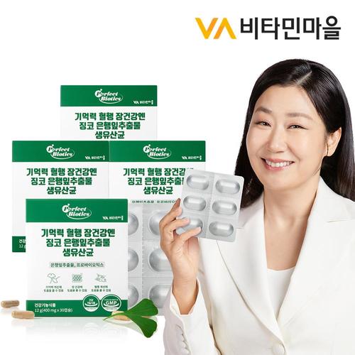 비타민마을 기억력 혈행 장건강엔 징코 은행잎추출물 생유산균 (생균보호 ALUALU포장) 4박스 총120캡슐