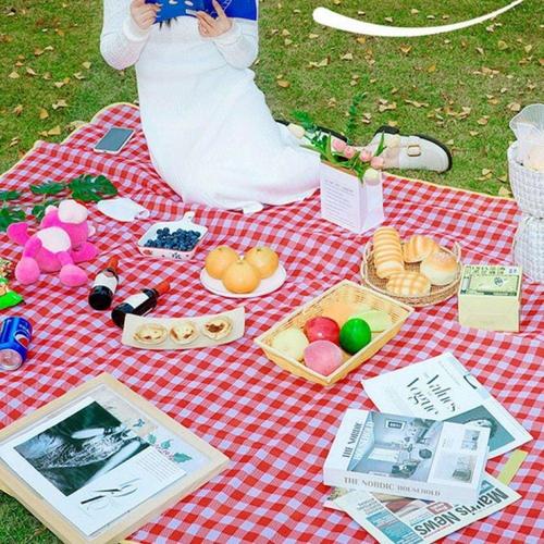 피크닉매트 200x200 캠핑 타프 러그 WFL97KP