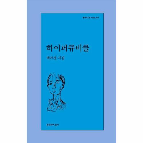 하이퍼큐비클 - 문학과지성 시인선 612