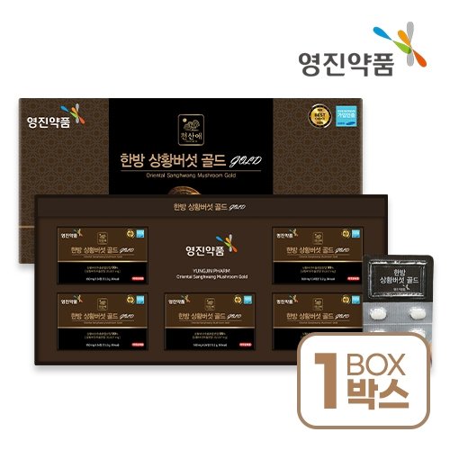 [영진약품] 한방 상황버섯 골드 550mgX24정X5박스