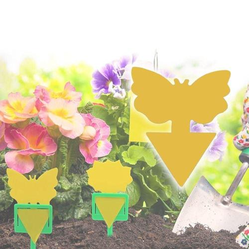 10894 DD 트랩 모양 10p 나비 끈끈이 양면 WFLZ6DK