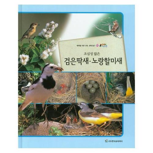 [웅진북센]조심성 많은 검은딱새 노랑할미새 테마별 자연 나라 생태 탐구