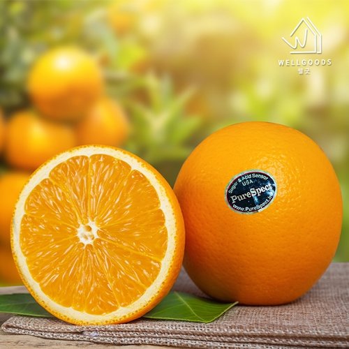 [웰굿] 퓨어스팩 블랙라벨 오렌지 17kg(72과내외,개당220g내외)
