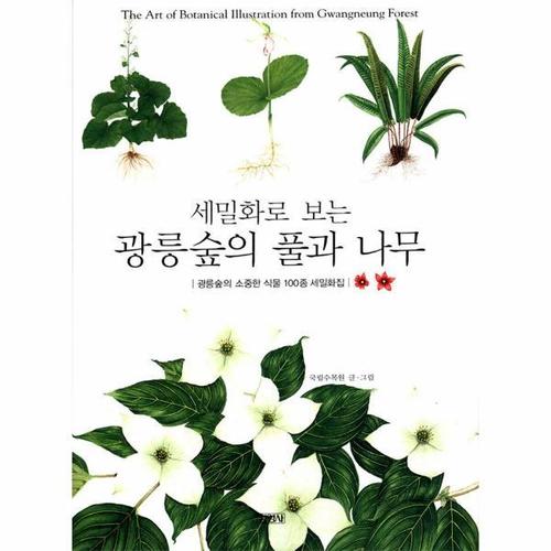 세밀화로 보는 광릉숲의 풀과 나무