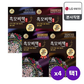 리엔 흑모비책 골드 염색약 90g x 4개 [흑색/흑갈색/자연갈색/짙은갈색] 택1