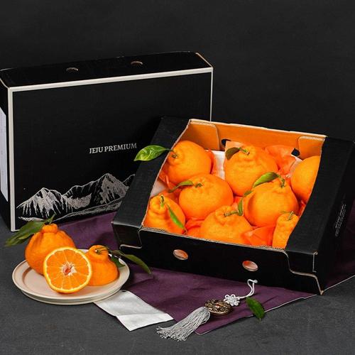 갤러리아_한라봉 선물세트 2.5kg 대과 6-10과+부직포가방 명절선물