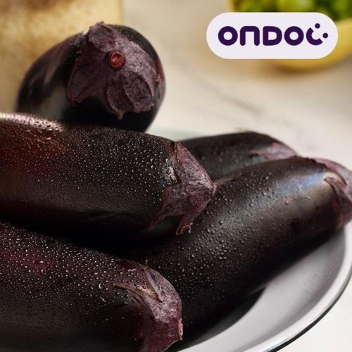 한화갤러리아㈜ 갤러리아_[온도씨]국내산 싱싱한 여주 금보라 생 가지 16개입내외 2.5kg(