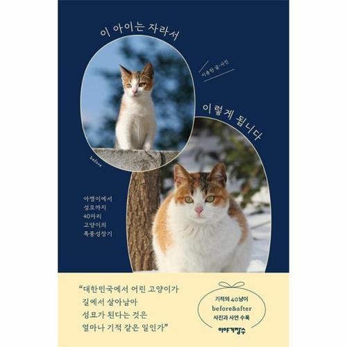 [웅진북센]이 아이는 자라서 이렇게 됩니다 - 아깽이에서 성묘까지 40마리 고양이의 폭풍성장기