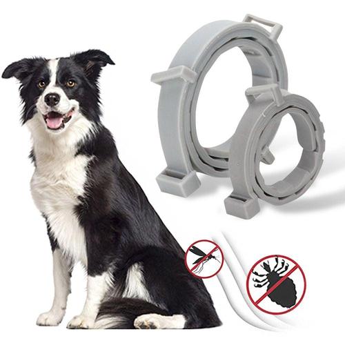 강아지 벌레 해충 방지 목걸이 (WFH6OVH)