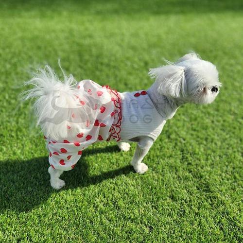 셀러허브 [OFM75218]강아지 하트뽕 바지 1P 반려견 민소매 올인원