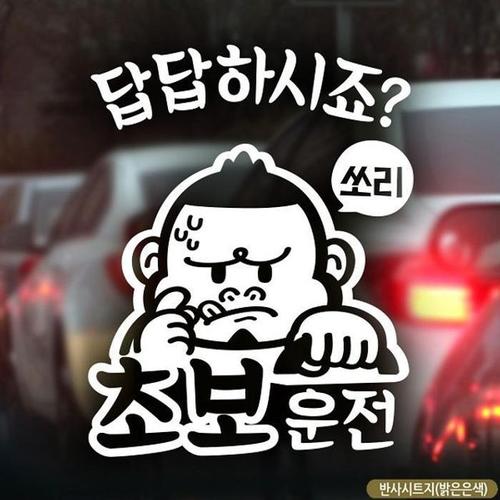 [셀러허브][QNW0Y439_57]자동차스티카 싸나이 초보운전스티커-반사