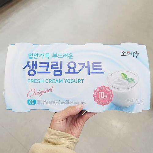 동원 F_B 소와나무 생크림 요거트 680G X 2개 b80201