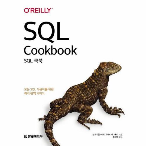 [웅진북센]SQL 쿡북 - 모든 SQL 사용자를 위한 쿼리 완벽 가이드