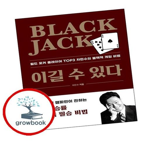 블랙잭 이길 수 있다 블랙잭이길수있다 책