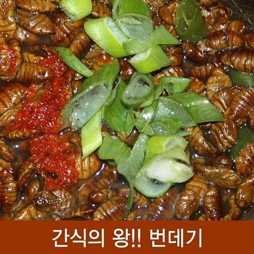 셀러허브 MZ_(면)(냉동)번데기4kg