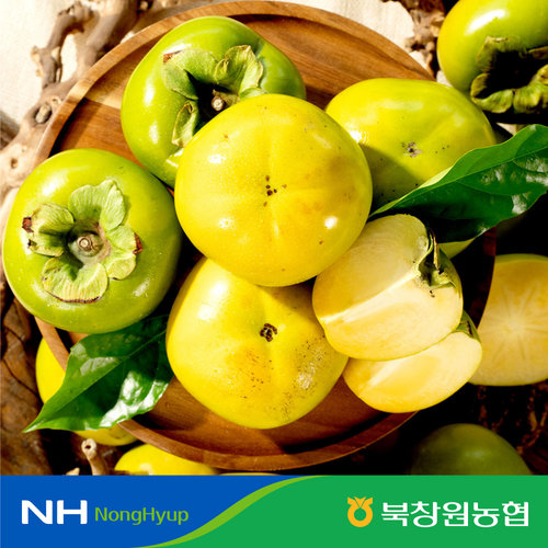 [농협] GAP 태추단감 4kg (16~22과)