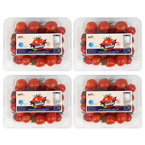 감동몰 스테비아 대추방울토망고 500g